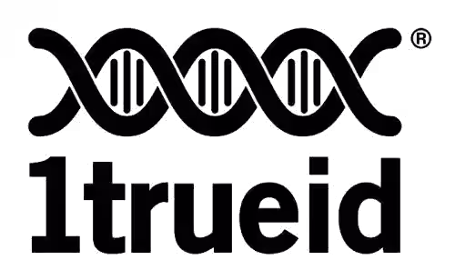 Partner logo 13